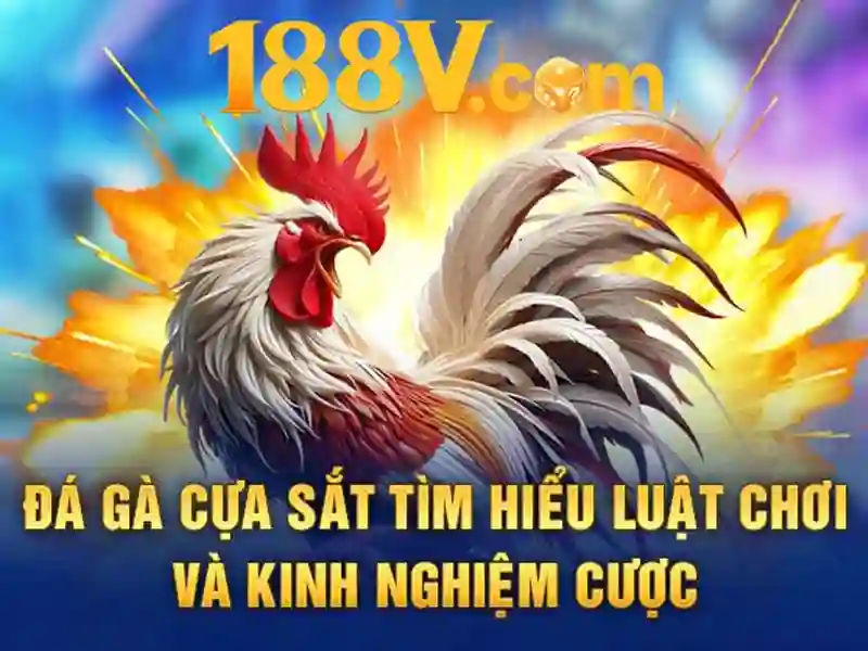 'Danh gia va trai nghiem 188v battery'