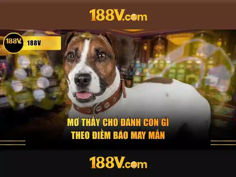 Khia canh an toan va chuan muc