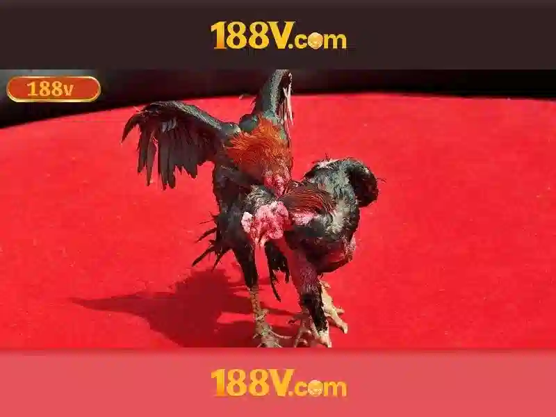 'Tam nhin tuong lai cua 188v battery'