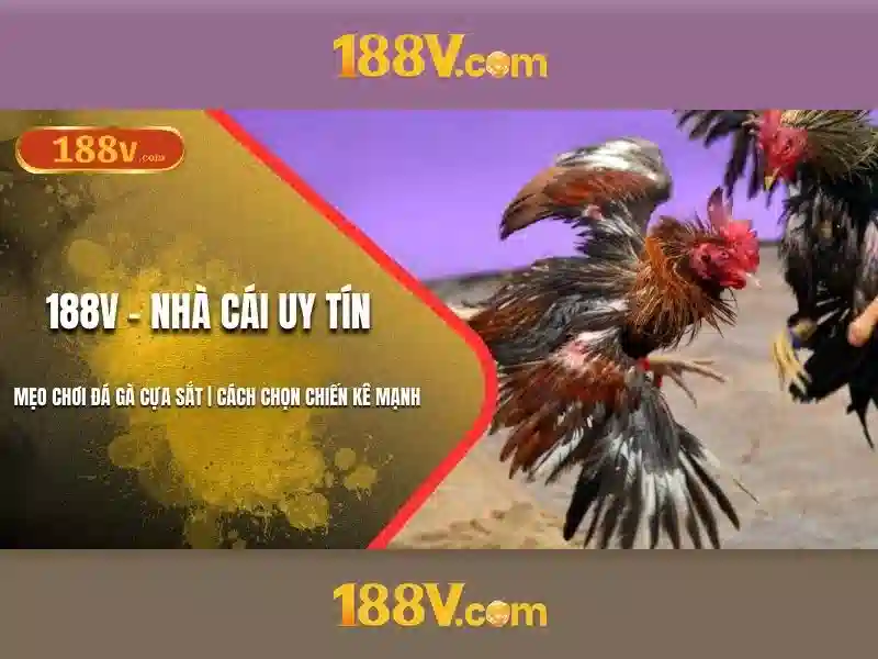 Nguồn gốc và sứ mệnh của đăng ký 188v