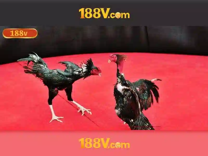 Khám phá 188v: một thế giới của sáng tạo và công nghệ