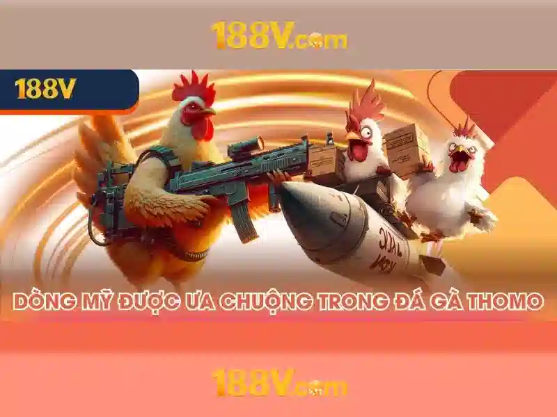 Nguồn gốc và ý tưởng phía sau 188V