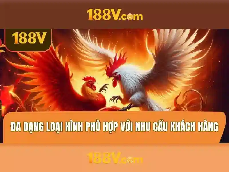 Kết luận