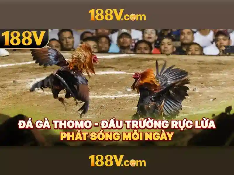 Những thách thức và cách vượt qua 188v