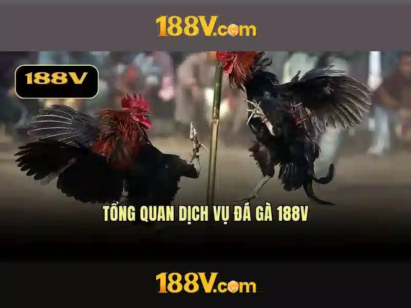 Khám phá khái niệm 188v