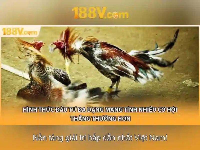 Khởi đầu với 188V