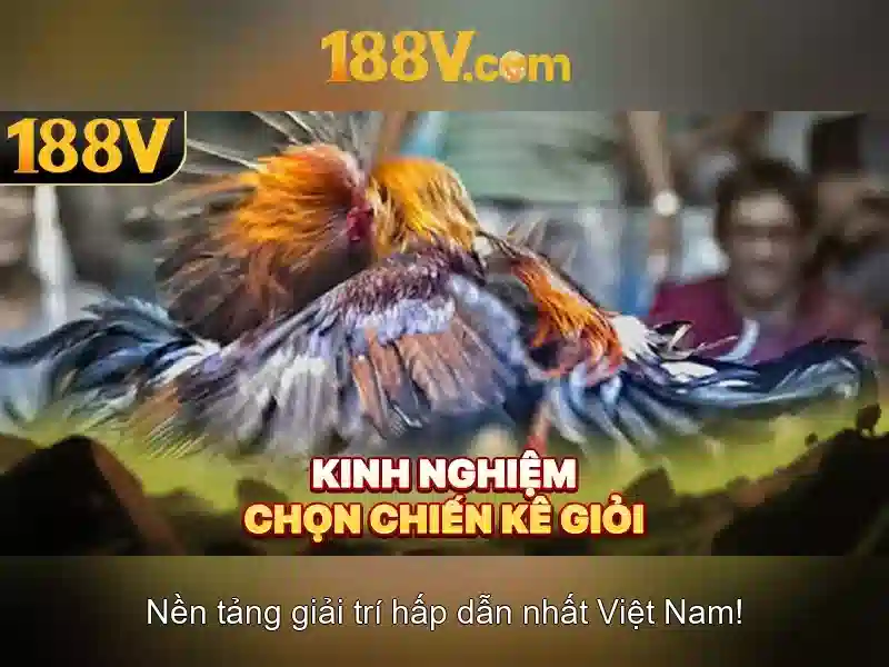 Ảnh hưởng đến cộng đồng và văn hóa