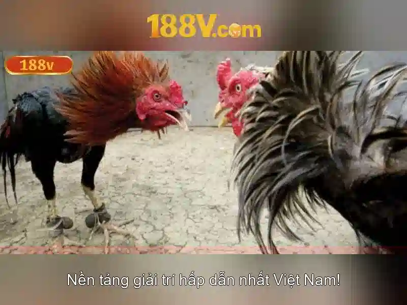 188V là gì?