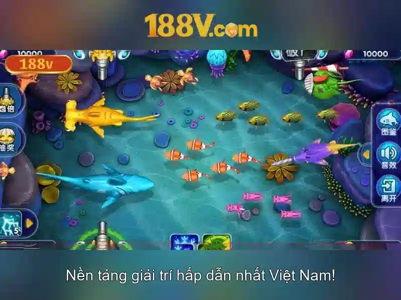Kết luận và tương lai