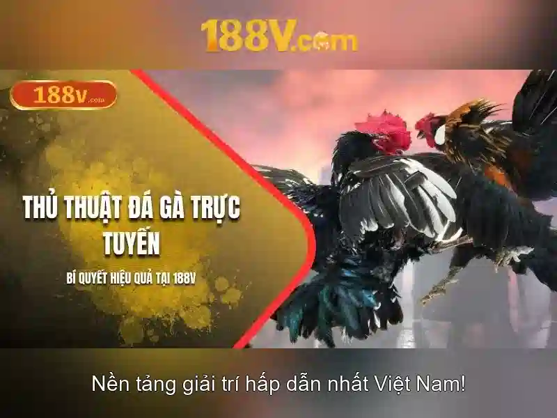 188v - Khám phá một khối lượng số và cảm xúc