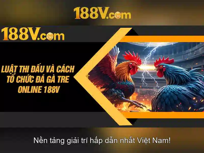 Ý nghĩa của chữ v trong 188v