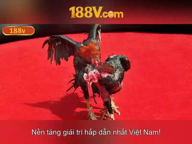 Nguồn gốc và ý tưởng