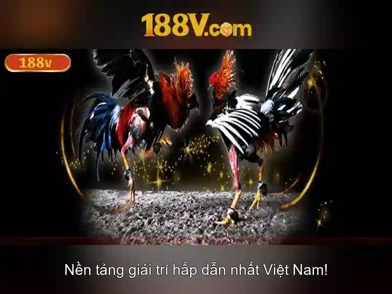 Thách thức và tiềm năng tương lai