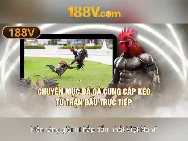 Nguồn gốc và ý nghĩa