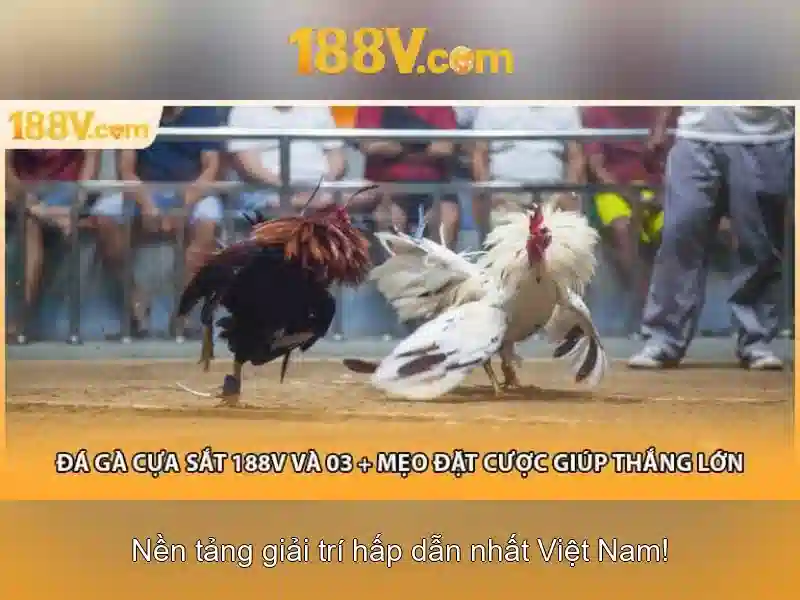 Nguồn gốc của 188v