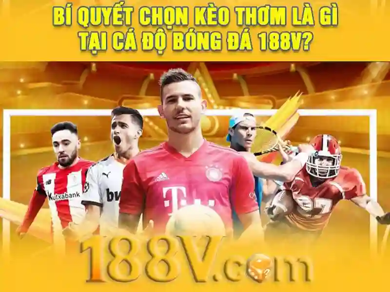 Ảnh hưởng đối với cộng đồng và môi trường